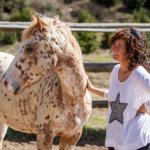 Marta Cirera trauma y caballos