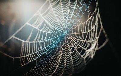 Trauma Método Somatiche Online 26/27