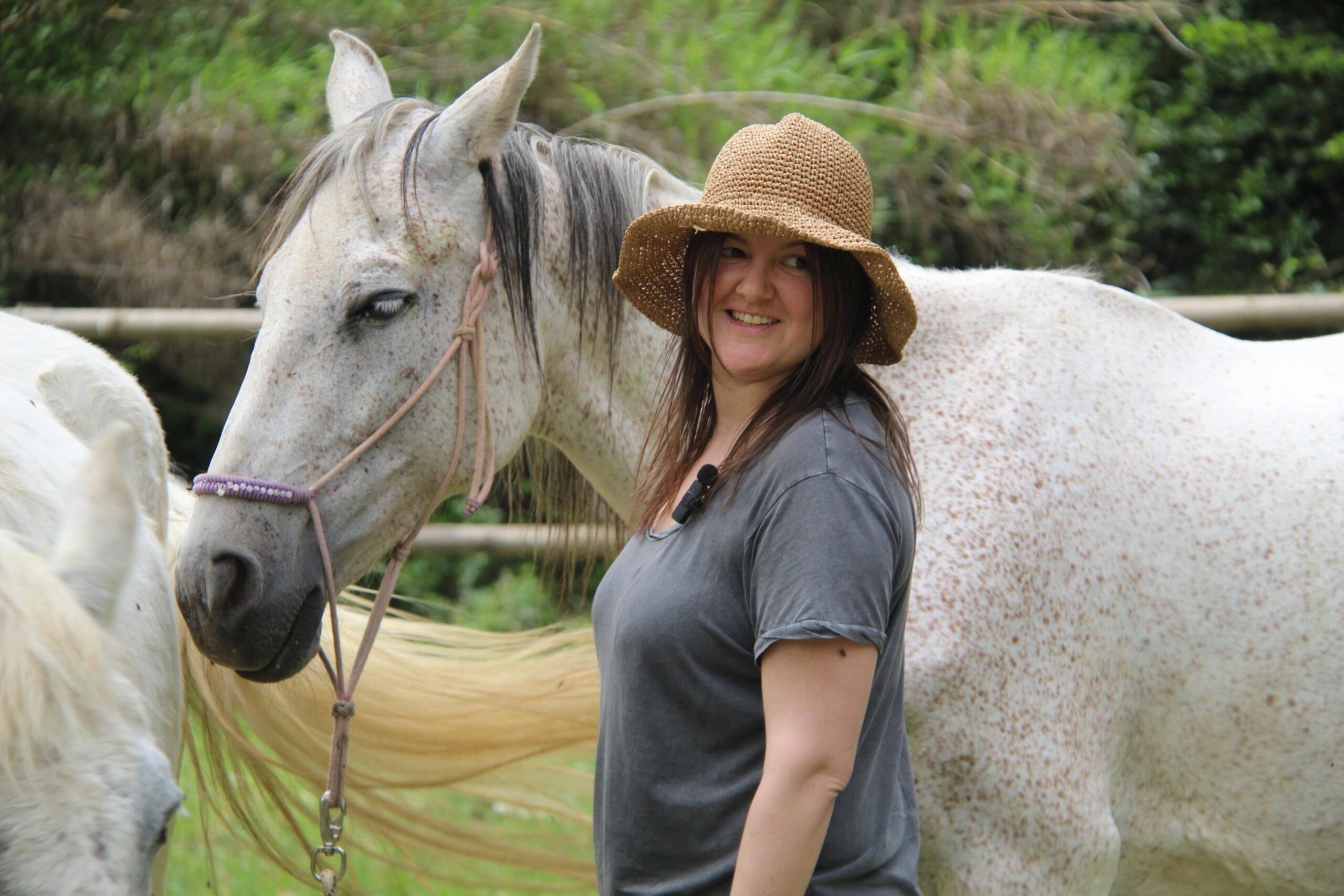 liberación de bloqueos emocionales con caballos