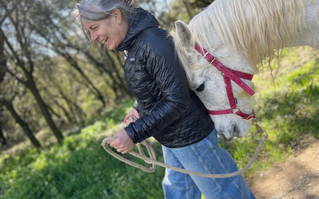 El caballo te acompaña de vuelta al cuerpo
