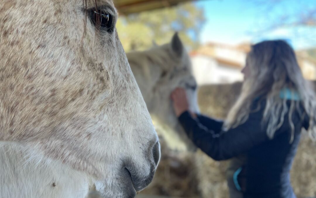 Neurocoaching asistido con caballos