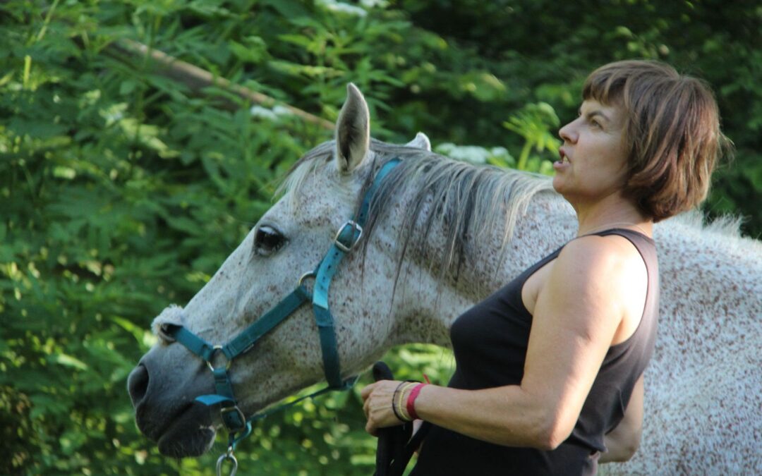 Human – Horse Relational Model by Marta Cirera